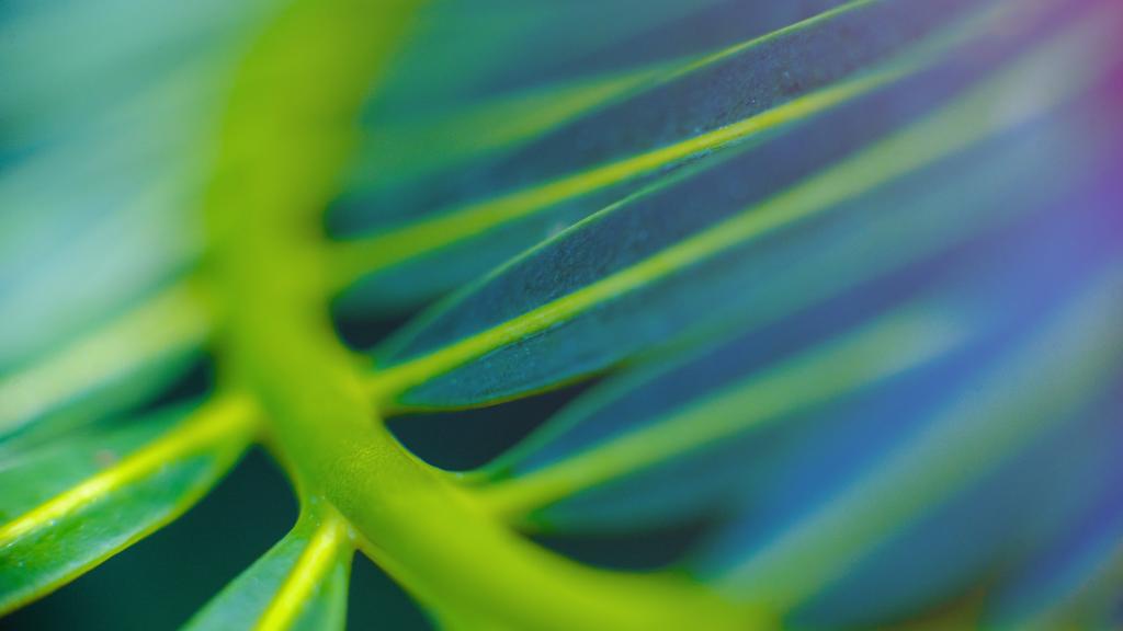 Green foliage with focus on leaf edges and curves