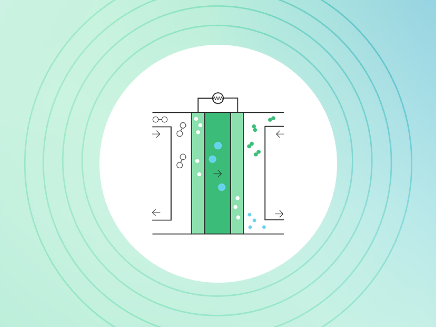 Fuel cells in simple terms Accelera