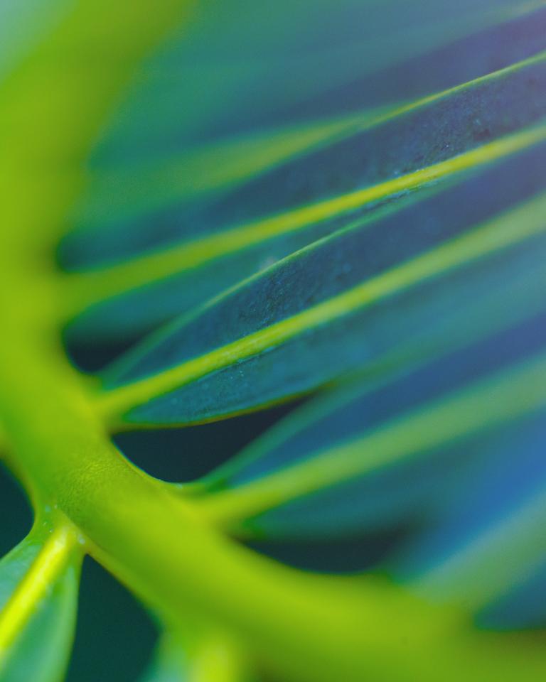 Green foliage with focus on leaf edges and curves